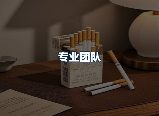 专业团队
