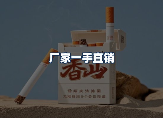 专业团队办公环境
